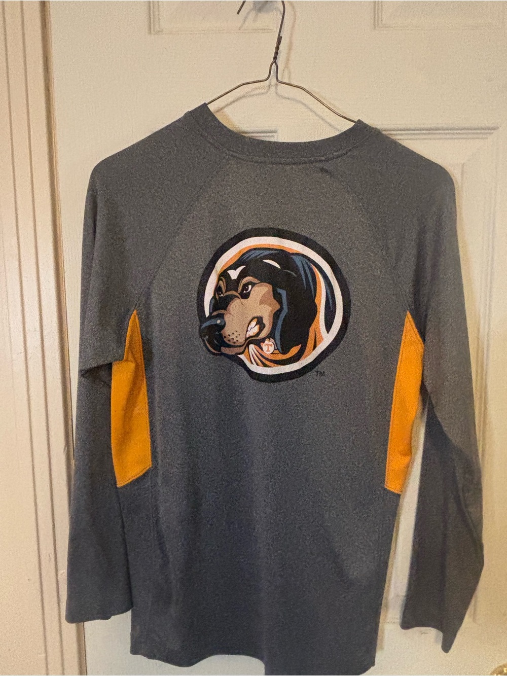 Men's Gray and Gold Long-Sleeve Graphic Sweater